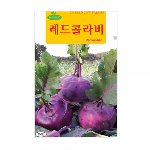 청농 레드콜라비 300립 무씨앗 쌈밥 녹즙 깍두기등 비타민A C 철분다량