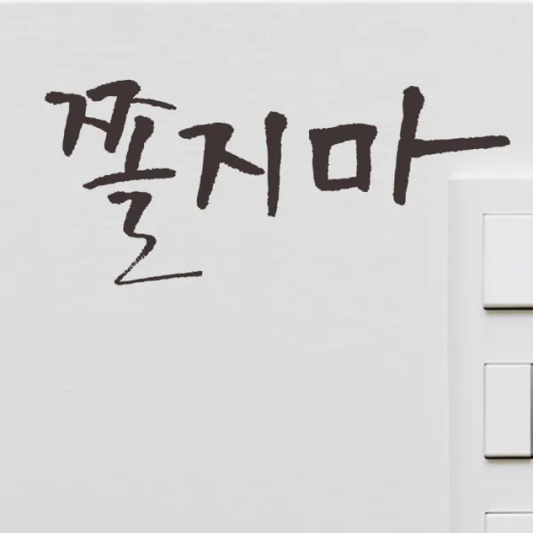 미니 캘리그라피 포인트스티커 쫄지마, 진회, 2개