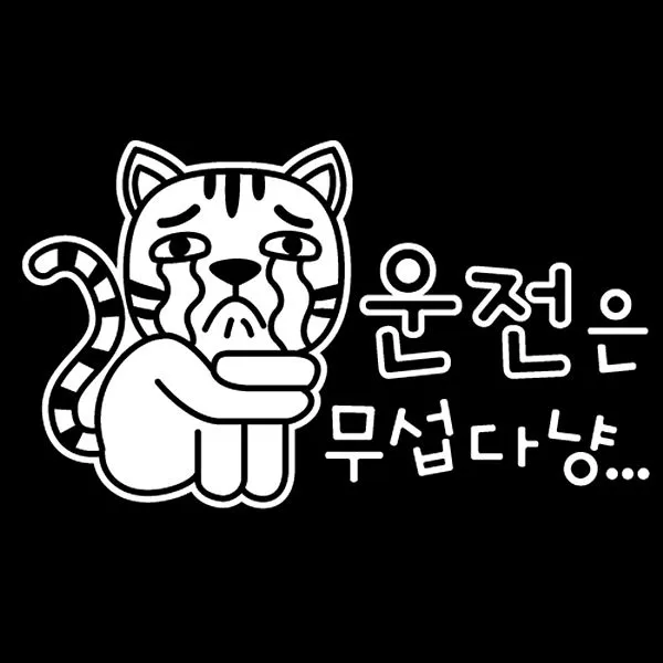 파랑나무 자동차 스티커-운전은 무섭다냥, 고양
