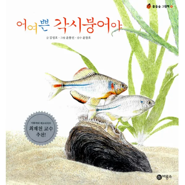 어여쁜 각시붕어야, 비룡소