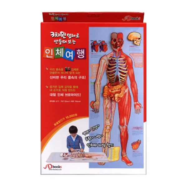 3차원 입체로 만들어보는 인체여행, Dbooks(천재교육)