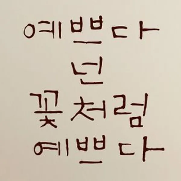 캘리그라피 포인트스티커 예쁘다 넌 꽃처럼, 진갈