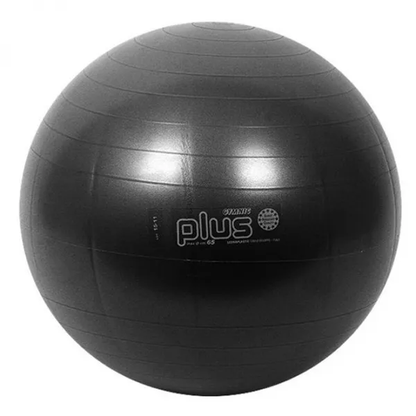 짐닉 플러스 짐볼 65cm 검정 /운동볼, 선택완료