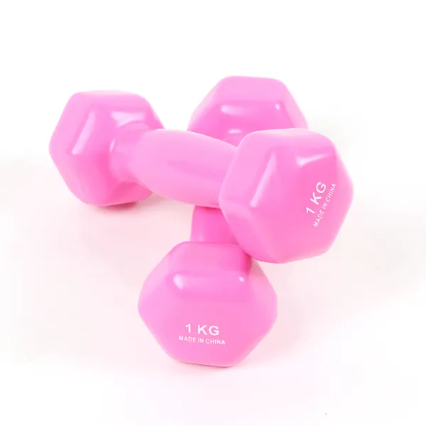 스포뱅크 PVC 칼라코팅 미용아령 1kg, 2개입, 핑크