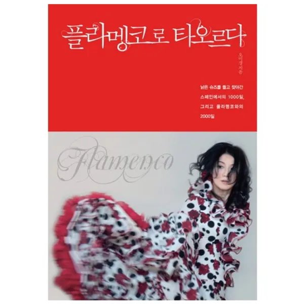 플라멩코로 타오르다 낡은 슈즈를 들고 찾아간 스페인에서의 1000일 그리고 플라멩코와의 2, 조선앤북