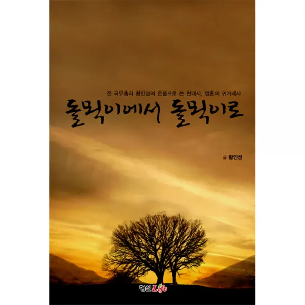 돌멕이에서 돌멕이로:전 국무총리 황인성의 온몸으로 쓴 현대사 영혼의 귀거래사, 형설라이프