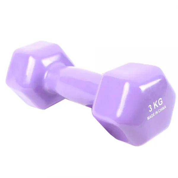 스포뱅크 칼라코팅 아령 3 kg, 1개, 연보라