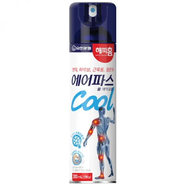 해피홈 에어파스 쿨 에어로솔 300ml, 1개입, 1개