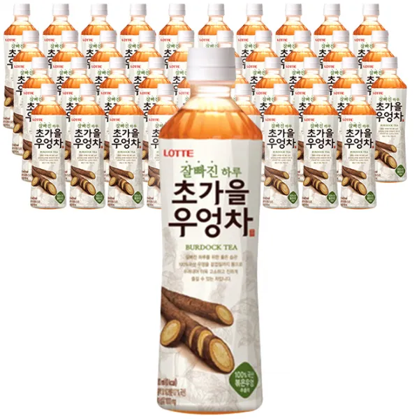 롯데칠성음료 잘빠진 하루 초가을 우엉차 500ml 40개