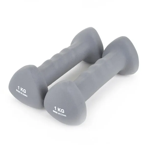 스포뱅크 해피핸드 네오프랜 아령, 1kg, 2개입