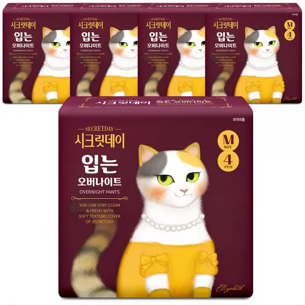 시크릿데이 입는 오버나이트 중형 생리대, 4개입, 5팩