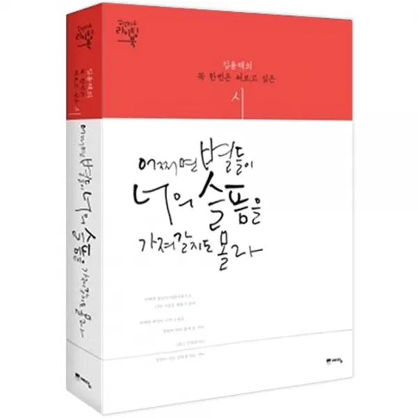 어쩌면 별들이 너의 슬픔을 가져갈지도 몰라 : 김용택의 꼭 한번 필사하고 싶은 시, 예담