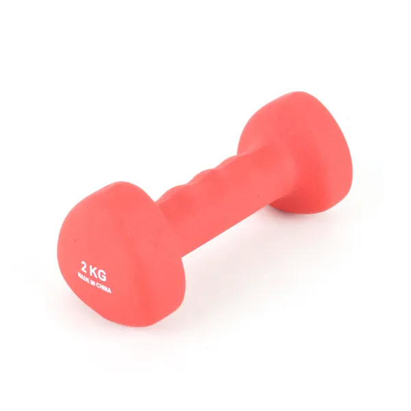 스포뱅크 해피핸드 네오프랜 아령, 2kg, 1개