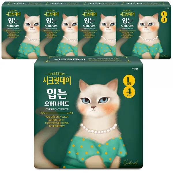 시크릿데이 입는 오버나이트 대형 생리대 4개입 5팩