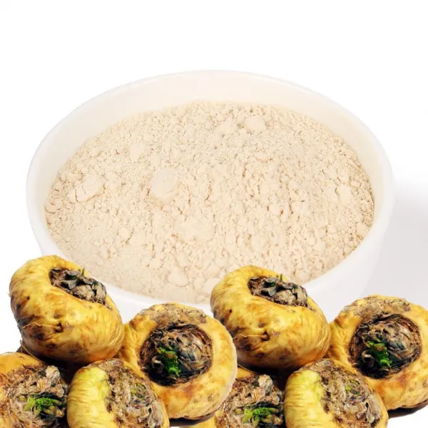 송림식품 페루산 마카분말 1kg(500g x2봉), 500g, 2봉