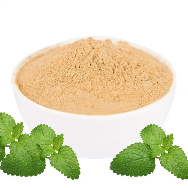 송림식품 레몬밤추출분말 500g, 1봉
