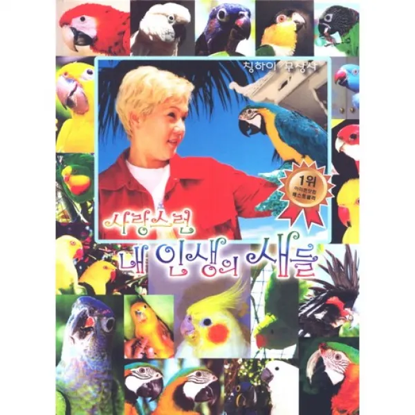 사랑스런 내 인생의 새들, 청년사