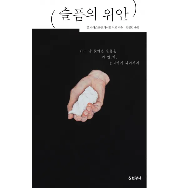 [현암사][큰글씨책] 슬픔의 위안 : 어느 날 찾아온 슬픔을 가.만.히 응시하게 되기까지, 론 마라스코, 현암사