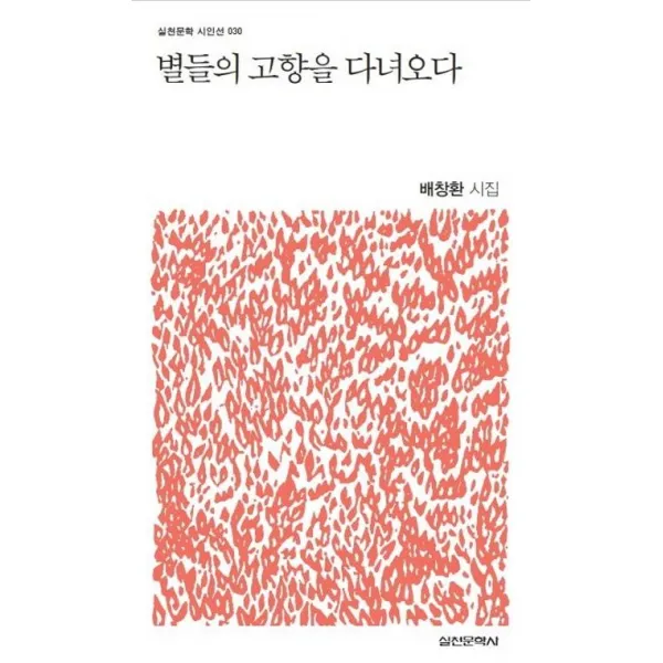 [실천문학사]별들의 고향을 다녀오다 (배창환 시집), 실천문학사