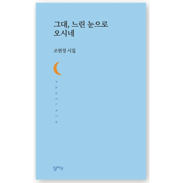 [달아실]그대 느린 눈으로 오시네 - 달아실시선 60, 조현정, 달아실