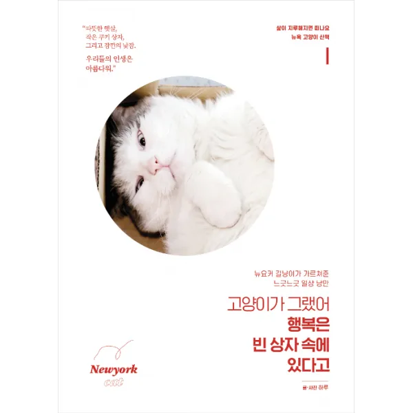 [청림Life]고양이가 그랬어 행복은 빈 상자 속에 있다고, 청림Life