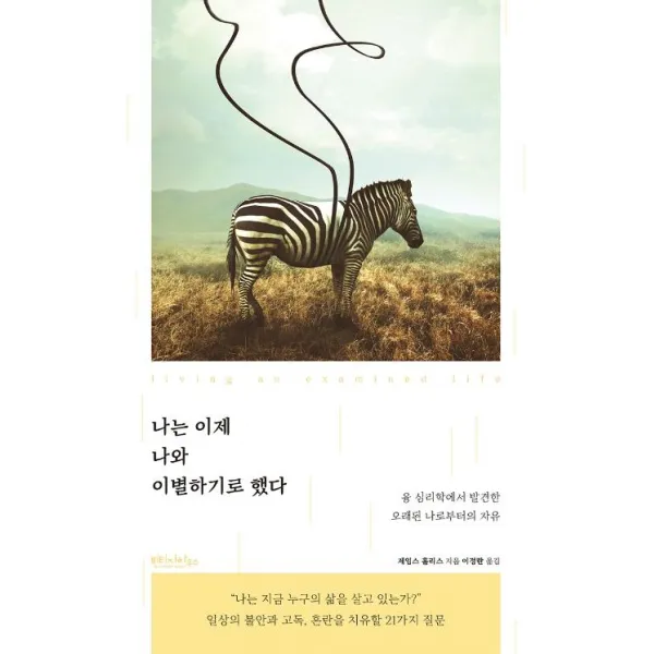 [빈티지하우스]나는 이제 나와 이별하기로 했다 : 융 심리학에서 발견한 오래된 나로부터의 자유, 빈티지하우스