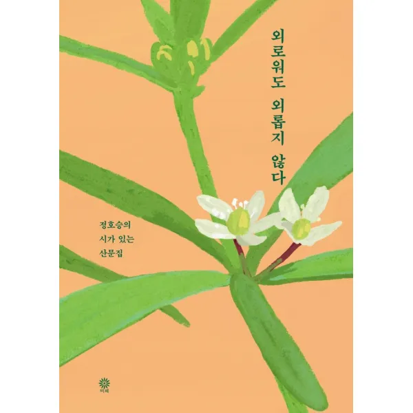 [비채]외로워도 외롭지 않다, 비채