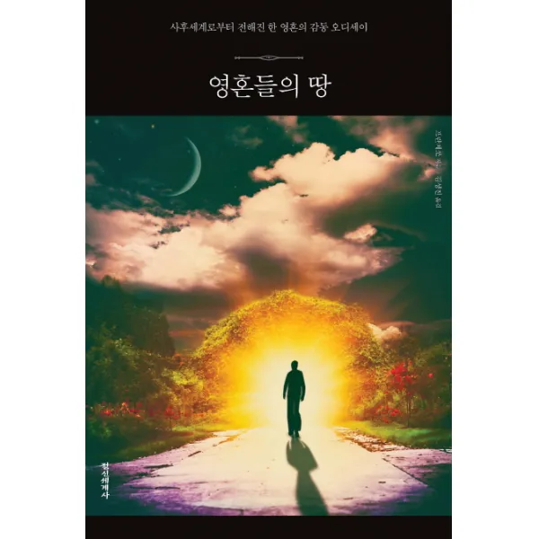 영혼들의 땅 : 사후세계로부터 전해진 한 영혼의 감동 오디세이 정신세계사
