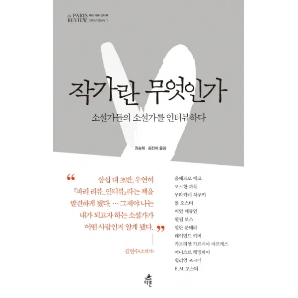 작가란 무엇인가 : 소설가들의 소설가를 인터뷰하다 다른