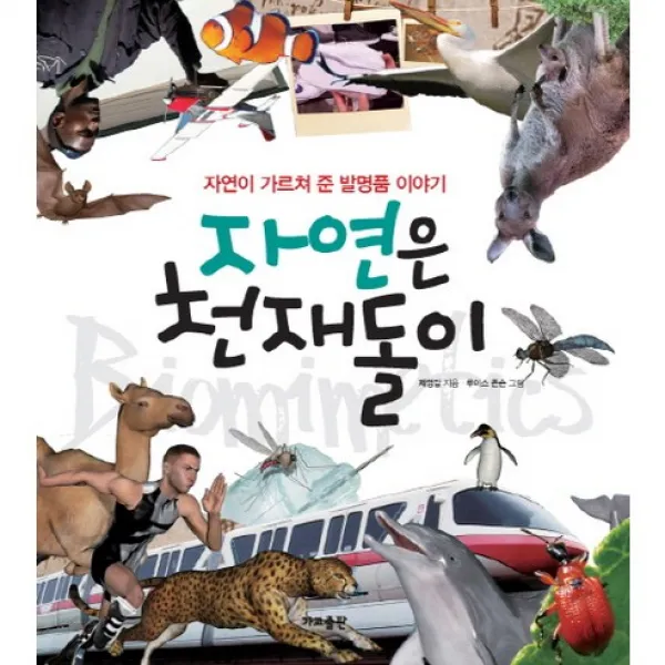 자연은 천재돌이:자연이 가르쳐 준 발명품 이야기, 가교