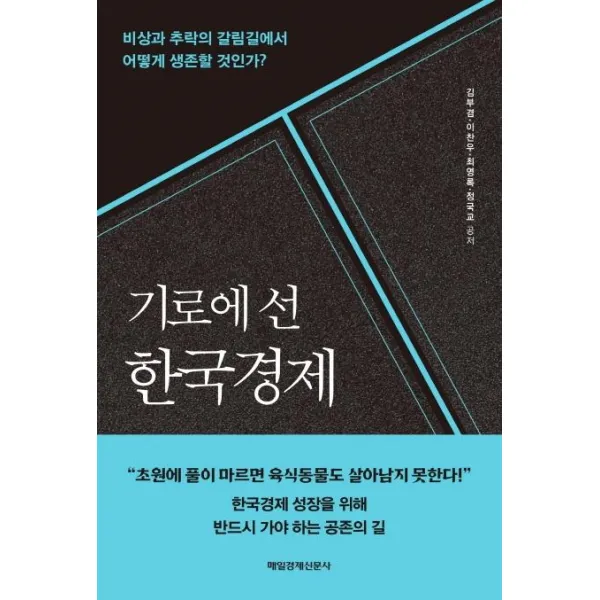  매일경제신문사 기로에 선 한국경제 : 비상과 추락의 갈림길에서 어떻게 생존할 것인가? 매일경제신문사