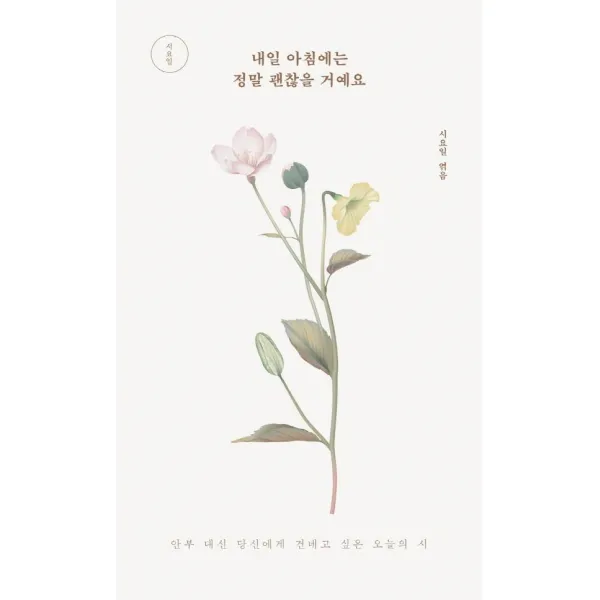 내일 아침에는 정말 괜찮을 거예요:안부 대신 당신에게 건네고 싶은 오늘의 시, 미디어창비