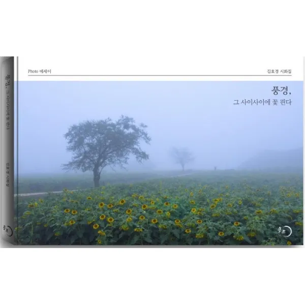 [몽트]풍경 그 사이사이에 꽃 핀다, 몽트, 김효경