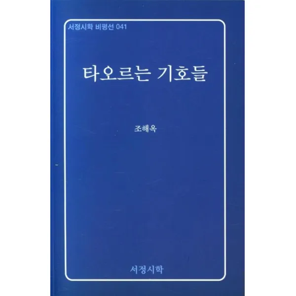 [서정시학]타오르는 기호들 - 서정시학 비평선 41, 서정시학, 조해옥