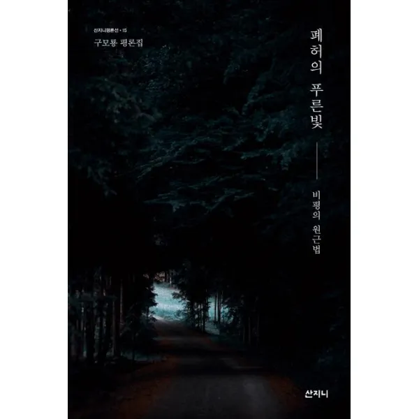 [산지니]폐허의 푸른빛 (비평의 원근법), 산지니
