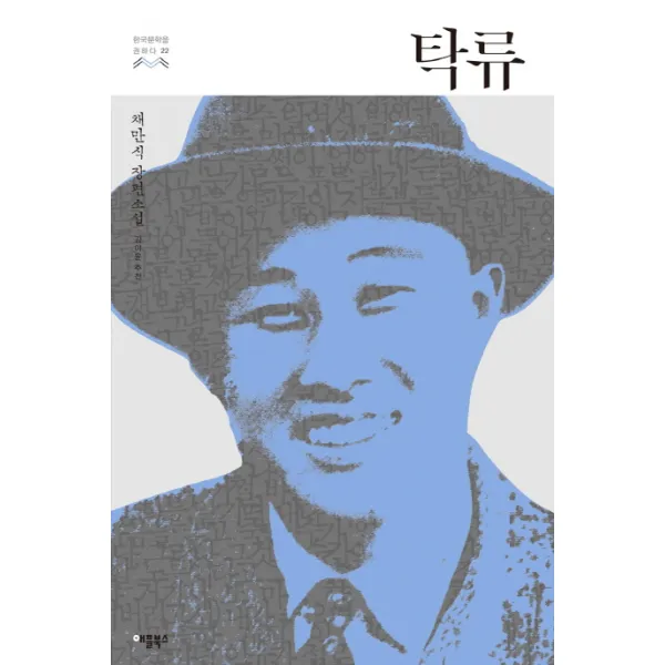 탁류 채만식 장편소설 한국문학을 권하다 22, 애플북스
