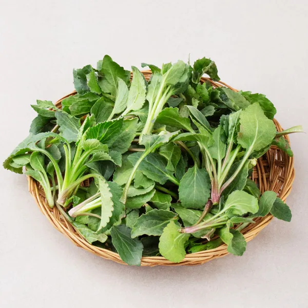 국내산 부지깽이나물, 250g, 1봉