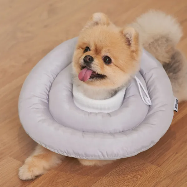 반려생각 UFO 반려동물 넥카라 M, 1개
