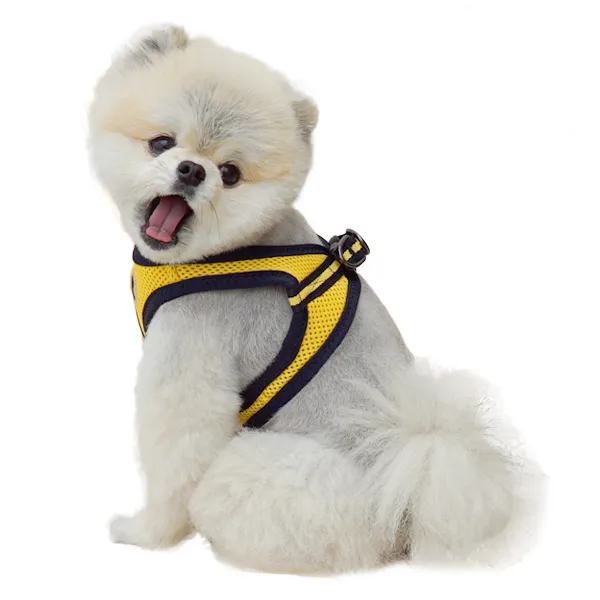 리얼펫 4계절슬림 조끼하네스, YELLOW