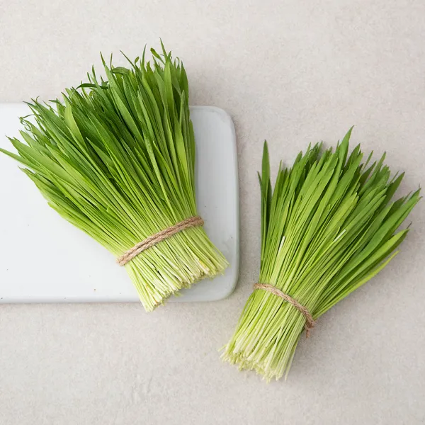 친환경 보리순, 250g, 1팩
