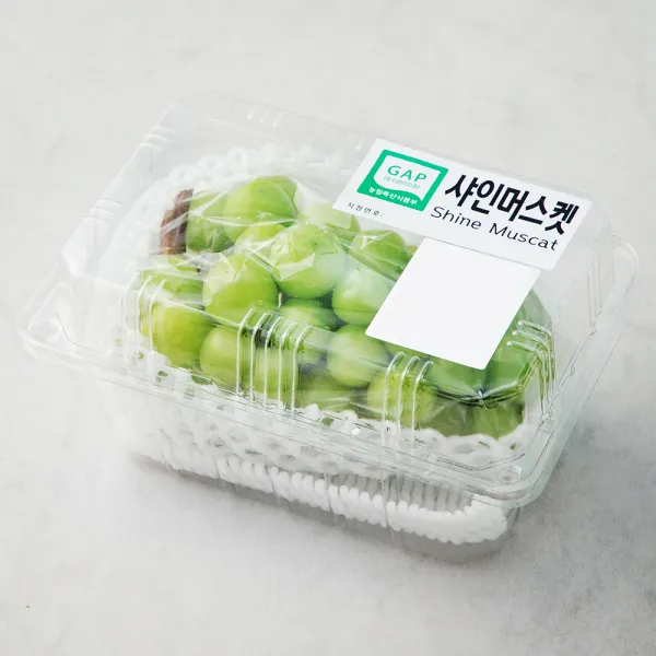 가족 Gap 인증 하우스 샤인머스캣 500g 1개