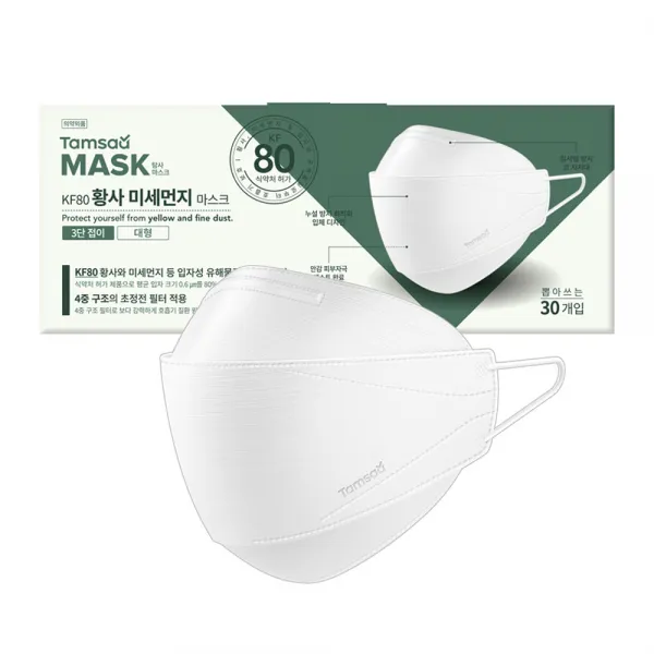 탐사 황사마스크 KF80, 일반 대형, 실속형, 30개입