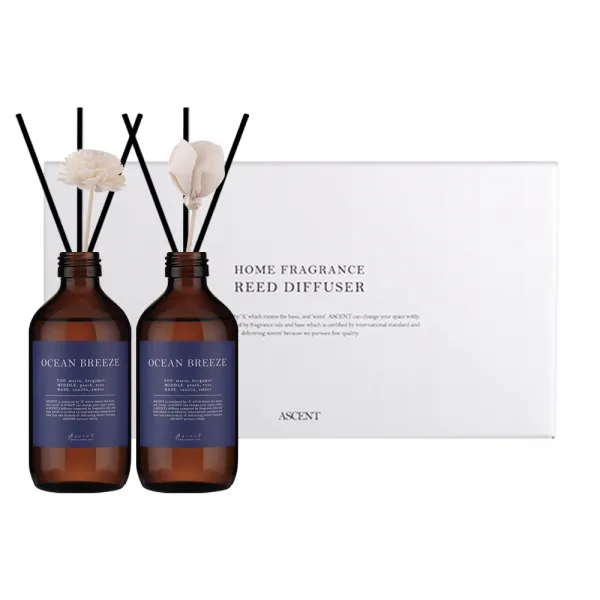 에이센트 네이처 디퓨저 본품형 200ml x 2p 세트, 오션브리즈, 1개