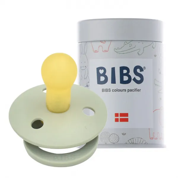BIBS 데니쉬 공갈 젖꼭지 + 하드케이스, 1단계(0~6개월), 세이지