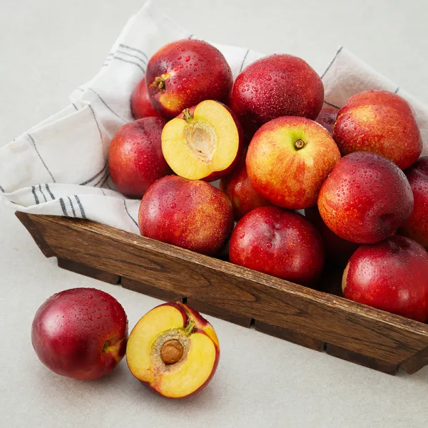 영천 천도복숭아 1.5kg 1팩