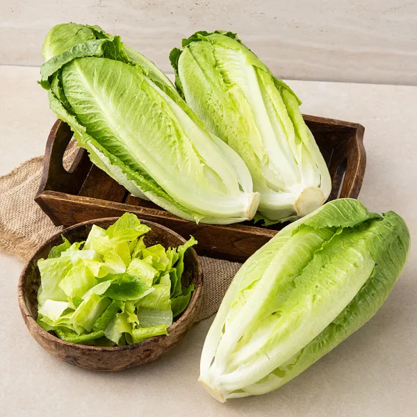 국내산 로메인 1kg 1개