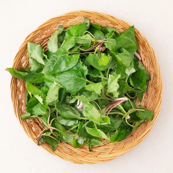 곰곰 국내산 참취나물, 250g, 1봉