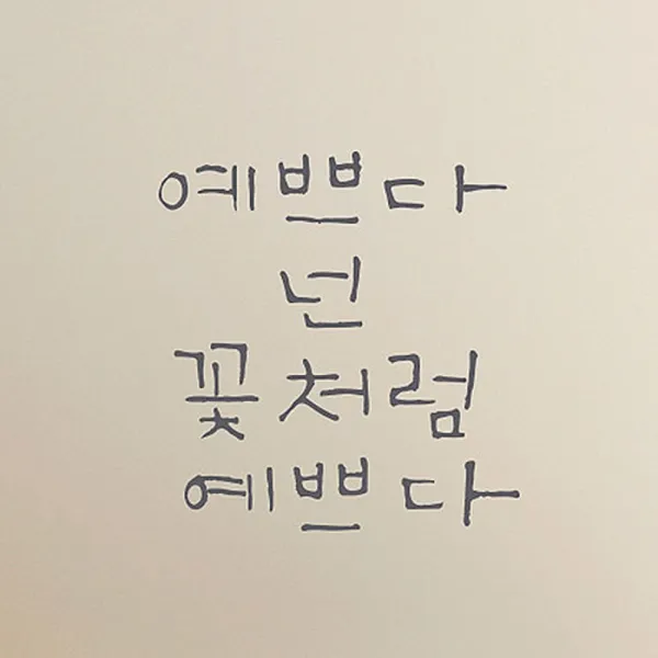 캘리그라피 포인트스티커 예쁘다 넌 꽃처럼, 연회색