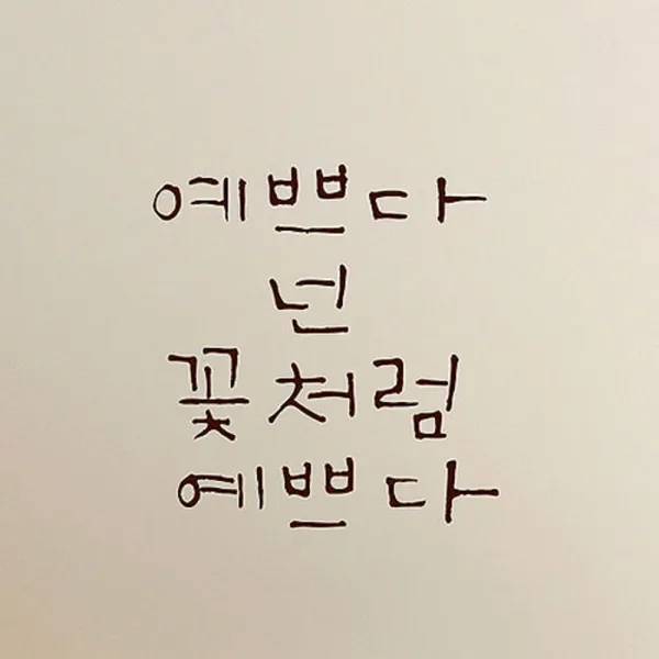 캘리그라피 포인트스티커 예쁘다 넌 꽃처럼, 진갈색
