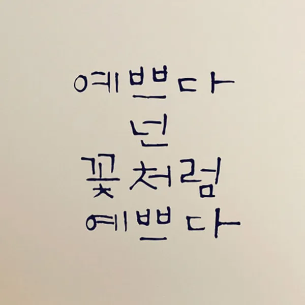 캘리그라피 포인트스티커 예쁘다 넌 꽃처럼, 군청색